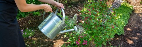 Petits travaux de jardinage