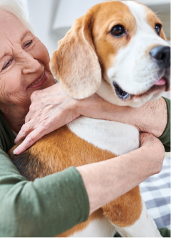 Soins aux animaux de compagnie